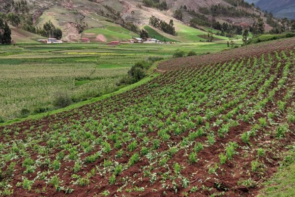 pachaillairy_landscape_008