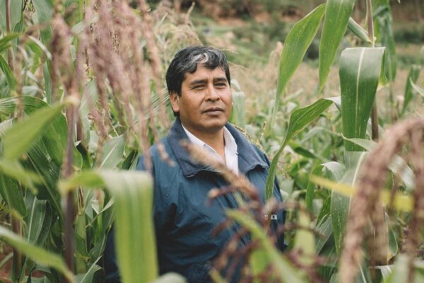 pachaillairy_teams_002