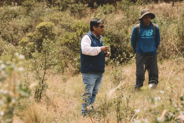 pachaillariy_association_projects_002