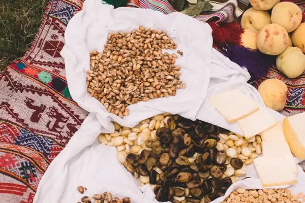 pachaillariy_association_projects_005